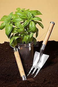园艺工具背景图片_两个园艺工具，上面长着罗勒植物