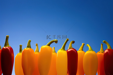 食品辣椒背景图片_太阳落在五颜六色的辣椒后面