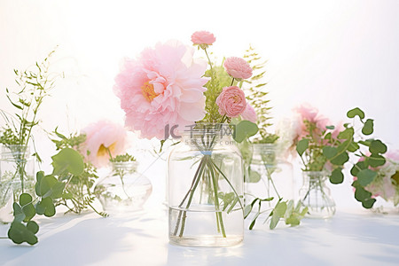 插花玻璃瓶背景图片_白色背景玻璃瓶中的花朵
