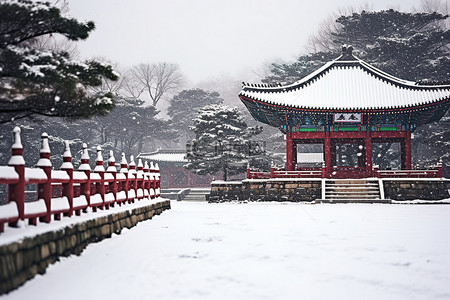 被雪覆盖的宝塔的雪景图像