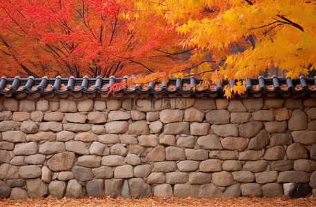 世外桃源图片背景图片_秋天的墙边 世宗弘益公园 首尔 韩国