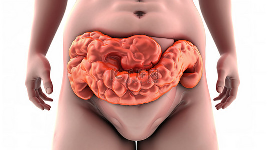人体的胃背景图片_隔离在白色 3d 呈现痛苦的胃