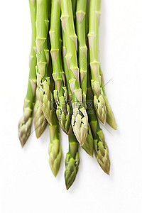 素食健康背景图片_白色背景中许多健康的芦笋茎