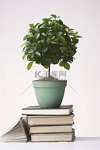 书上的背景图片_一堆书上的锅里有回收标志的温室植物