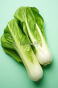 绿色菜叶背景图片_味道鲜亮的表面上有两片绿色的大白菜叶