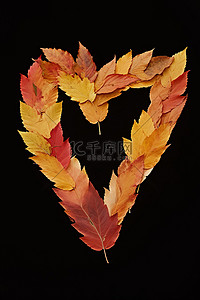 秋天的叶子形成字母v