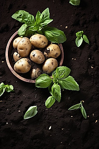 土豆泥拌粉背景图片_黑色的土豆泥带有一些绿叶