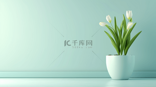 白色简约室内场景清新花瓶盆栽的背景3
