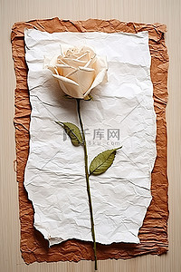 一张纸上的玫瑰