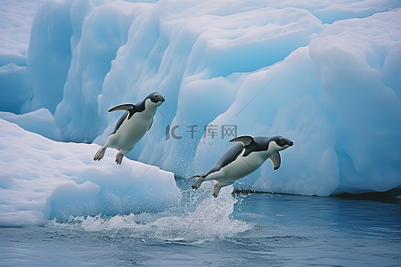 企鹅海的背景图片_企鹅从冰川中跳出来