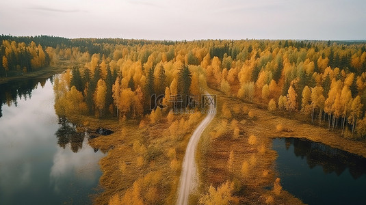 农村和城市背景图片_令人惊叹的鸟瞰图，一条宁静的芬兰道路被黄色和橙色的秋叶包围，俯瞰着蓝色的湖泊 3D 渲染