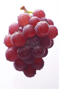 红葡萄背景图片_白色背景上的红葡萄串优质免版税código 4682