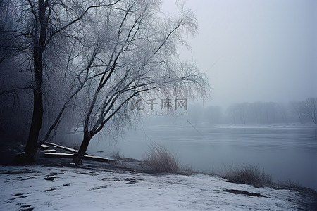 天空灰色背景图片_冬天风景寒冷的冬天黄昏灰色的冬天