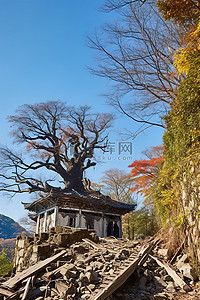 LMS多可爱你的分支背景图片_蓝天