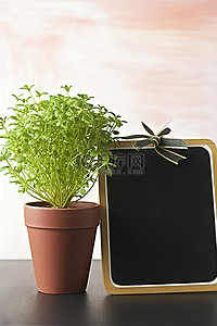 小植物，有一块黑板，上面有一个标志