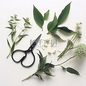 剪刀固体胶背景图片_一些黑色剪刀以及白色桌子上的花朵和叶子