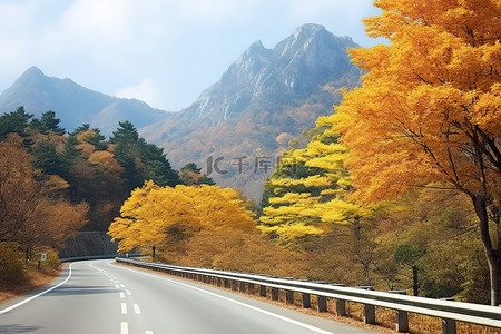 枫叶山背景图片_山路上美丽的秋景