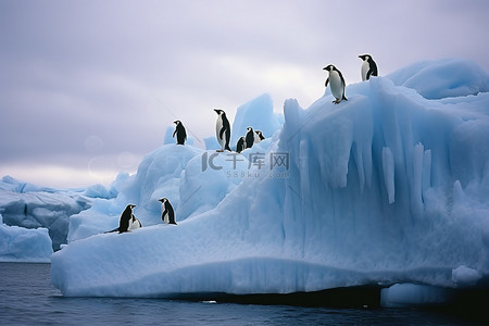 寒冷极地背景图片_企鹅站在冰山上
