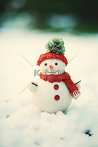 白色衬衫和红色围巾的迷你观赏雪人