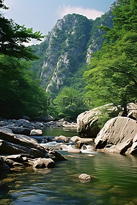 岩石和树木靠近流淌的河流