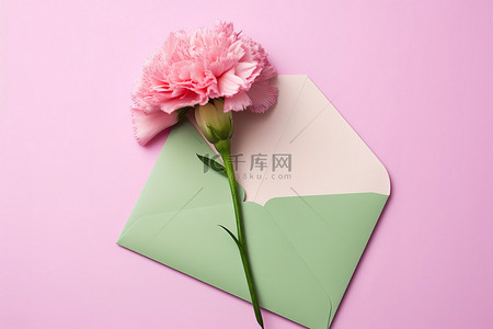绿色信封背景图片_打开绿色信封中的粉色康乃馨