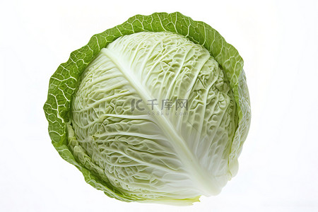 蔬菜绿叶背景图片_白色背景中绿叶卷心菜头的图像