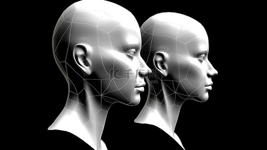 黑色孤立女性头部的 3D 插图，具有正面和侧面视图