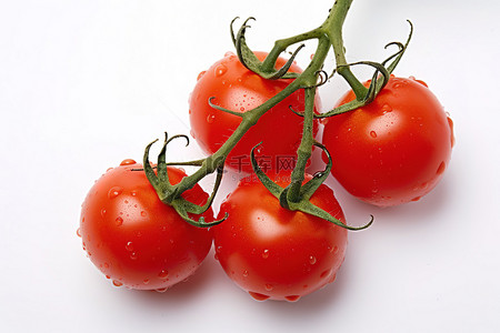 番茄一筐背景图片_茎上有一滴水的番茄