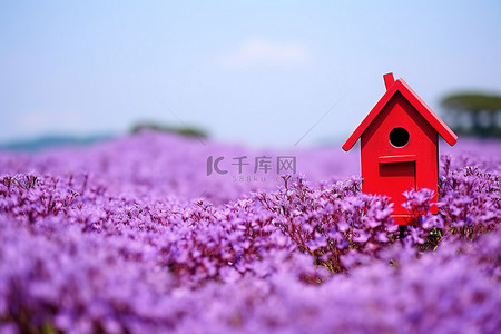 一个红色的小鸟舍坐落在紫色花坛的地上