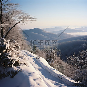 山腰场景，树木和山脉被雪覆盖