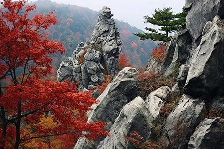 山上的岩石已经秋天了