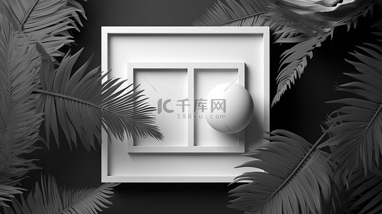 抽象黑白现代背景下带有圆形蓬松棕榈叶的方形框架的 3D 渲染