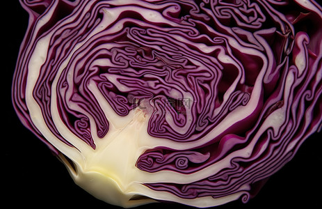 呈弧状的物体背景图片_由蔬菜和紫甘蓝制成的物体