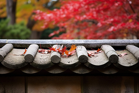 石头建筑的灰烬屋顶，叶子变色