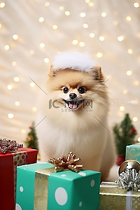 英语可爱背景图片_博美犬圣诞快乐标志
