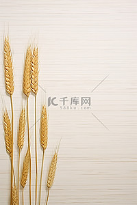 成熟的小麦叶子在木头上照片