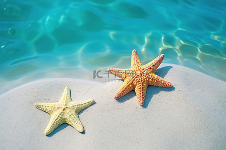 两只海星背景图片_水池旁边的沙子里有两只海星