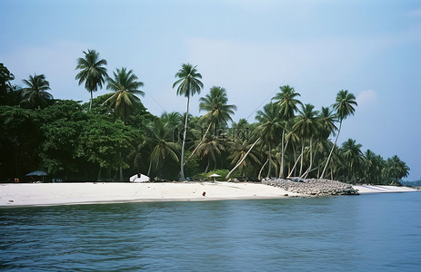 悬空岛上背景图片_岛上有大量棕榈树的海岸