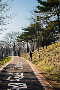 一名男子骑着自行车在穿过韩国公园的小路上