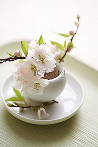 碗装火锅背景图片_鲜花和茶装在一个迷人的碗里
