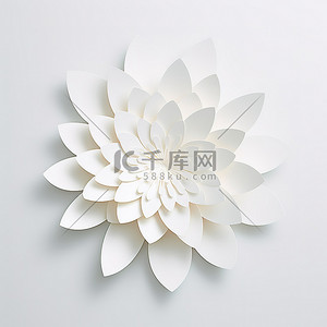 白纸花背景图片_白色表面上的白色纸花
