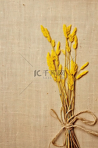 一块麻布背景图片_一块麻布上的黄色茎
