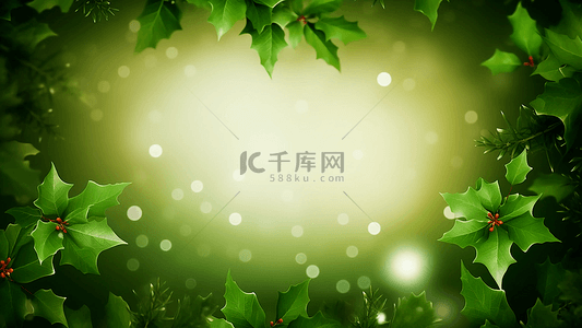 结婚边框背景图片_圣诞节唯美冬季白色雪花绿色叶子