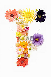 花朵中的字母表 数字摄影 数字艺术 数字艺术