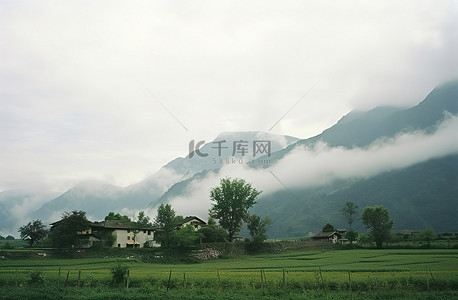 村庄规划背景图片_阴天，身后山上的树木