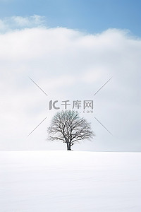 雪地雪景背景图片_雪地里的一棵树，作者：evgeniy rybolovsky Stocky United