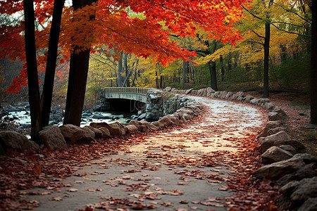 路上的树叶通向黄色的岩石和木桥