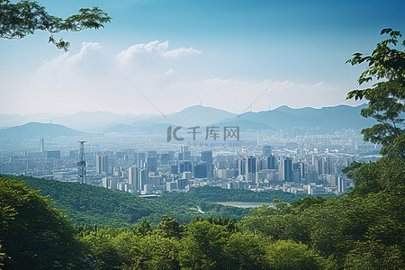 林区背景图片_从林区看首尔市