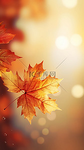 树叶黄色背景图片_秋天季节丰收黄色