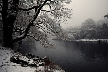 跳绳前景背景图片_湖前景中有树的雪景
